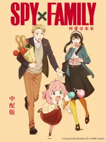 间谍过家家 中配版